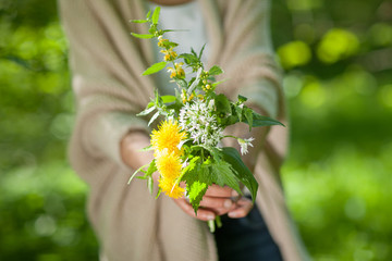Beautiful woman hands holding wild herbs in the forest, can be used as background - 203369567