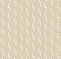Abstract geometric pattern with lines. A seamless vector backgro