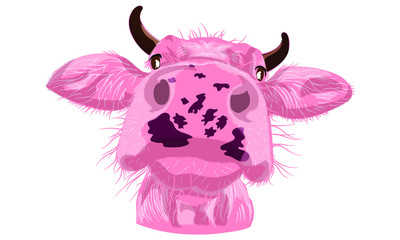 Cow pink funny