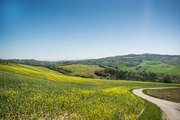 Fototapeta premium tuscany landscape countryside field nature italy