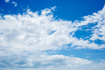 クルージング風景