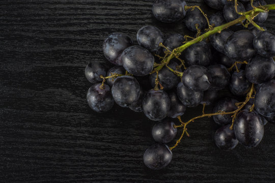 Black grapes cluster (autumn royal variety) table top isolated on black wood background.