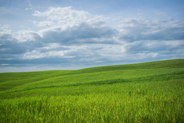 Fototapeta na wymiar tuscany rural landscaper path countryside italy green blue