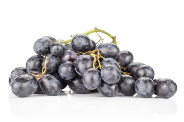 Black purple grape cluster (autumn royal variety) isolated on white background.
