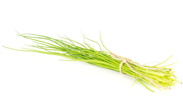 Fresh chives bunch tied by rope isolated on white background.
