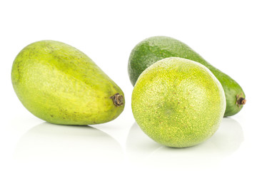 Three green smooth avocado isolated on white background bacon variety.