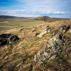 Leithagebirge Ausläufer und Heide bei Jois