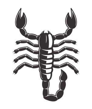 Scorpion tattoo style black vector illustration