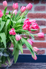 pink tulips in a vase