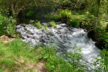 waterfall on a forest river