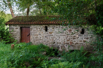 Fototapeta na wymiar old stone house in the forest
