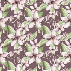 Hand painted watercolor floral pattern pink purple colors seamless frangipani magnolia plumeria - 203376773