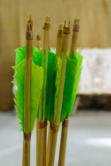 Arrows with plumage of green for better flight