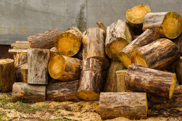 spilled timber of logs stacked in a pile near a wall