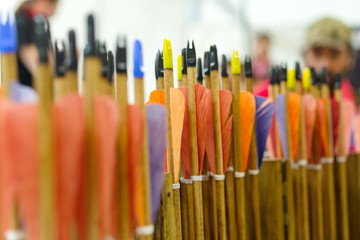 Arrows with natural plumage for better flight
