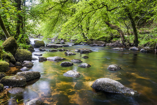 Fototapeta River in Dartmoor, Devon