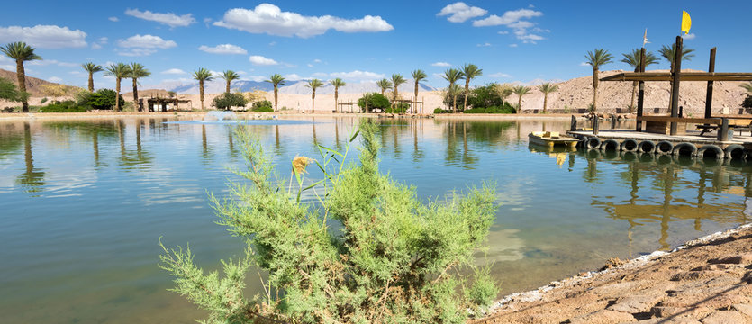 Artificial freshwater lake is the heart of recreation area in desert geological Timna Park, it is located 25 km north of Eilat, Israel