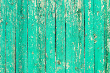 Fototapeta na wymiar Green texture background wooden old