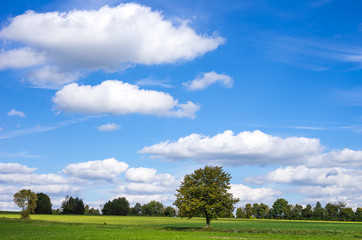 Naklejka premium Landscape