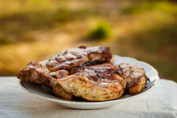 Grilled steak at the campsite lies in a white plate on the table
