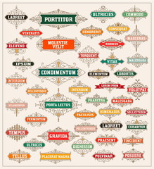 Vintage Elements. Baroque style