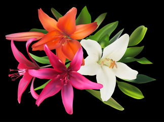pink and white lily flowers bunch on black