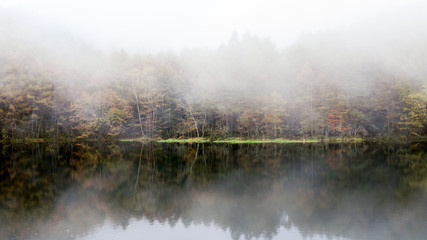 Mist flows quietly