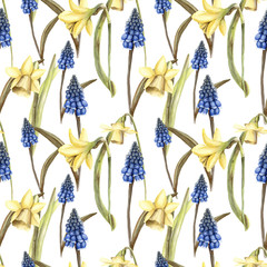 Hand painted watercolor floral pattern seamless blue grape hyacinth yellow daffodils narcissus white background - 203384789