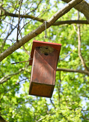 Bird feeder on a tree in the woods