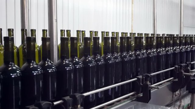 Bottling and sealing conveyor line at winery factory