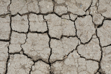 Detail of cracked dry soil on a hot day