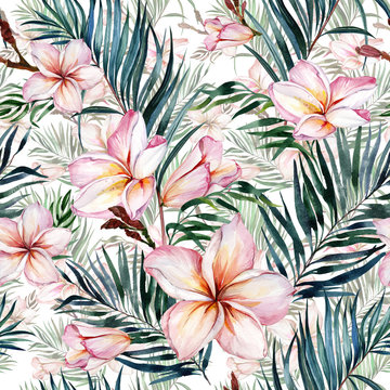 Pink plumeria flowers and exotic palm leaves in seamless tropical pattern. White background.  Watercolor painting. Hand drawn and painted floral illustration.