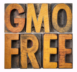 GMO free banner in wood type