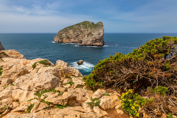 Naklejka premium View of the island 