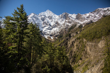 Obraz premium Image of Annapurna range on the Annapurna circuit trek in Nepal. Amazing views of Snow capped peaks of Himalayas from the pine forest
