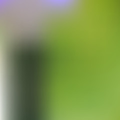 Smooth vector gradient background.