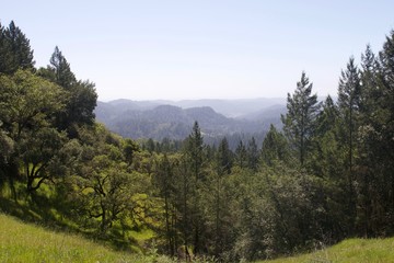Armstrong Redwoods State Natural Reserve, California,  United States - to preserve 805 acres (326 ha) of coast redwoods (Sequoia sempervirens). The reserve is located in Sonoma County, Guerneville.