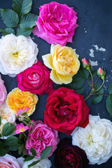Collection of multi-colored roses