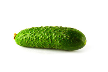 Ripe fresh cucumber isolated