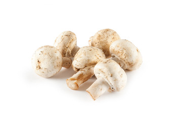 Champignon raw on wood desk