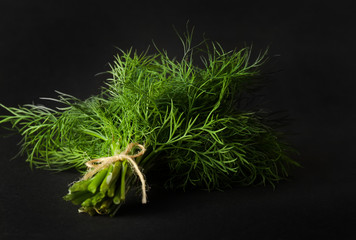 Fresh green dill close up