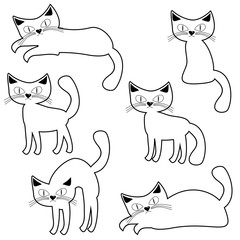 nice cats on white background 