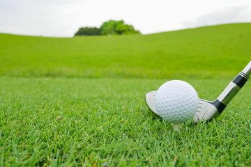 Golf Course where the turf is beautiful and Golf Ball on tee. Golf course with a rich green turf beautiful scenery.