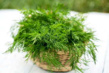 fresh dill in the basket
