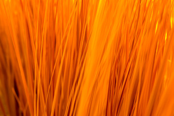 Close up texture of artificial grass with shallow depth of field , abstract background