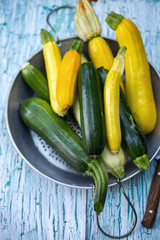 long zucchini in sieve