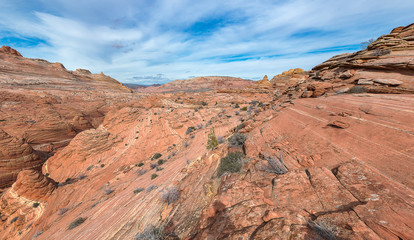 Fototapeta na wymiar Landscape of The wave, Arizona