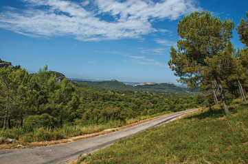 Road crossing forest and rock formations with blue and sunny sky, near the village of Baux-de-Provence. Bouches-du-Rhone department, Provence-Alpes-Côte d'Azur region, in southeastern France