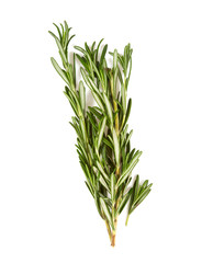rosemary isolated on white