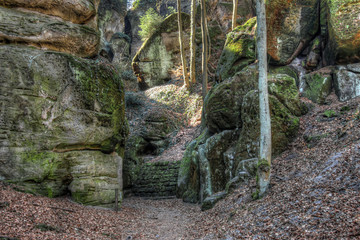 Trail in the Bohemian Paradise